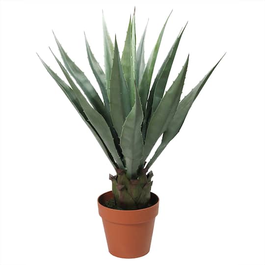 31.5" Potted Artificial Green Agave Americana Succulent